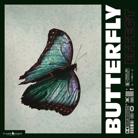 BUTTERFLY EFFECT