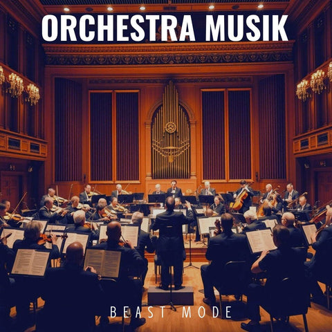 Orchestra Muzik