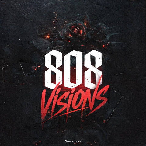 808 Visions